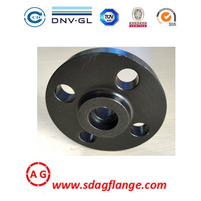 Flange Pipa Baja SWRF Flange Socket Weld DIN EN1092